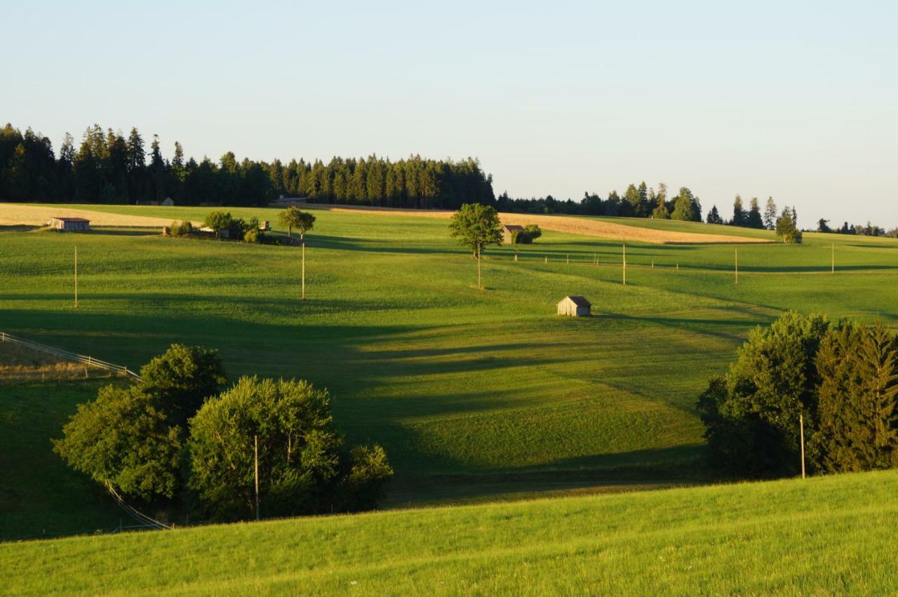 Bed & Breakfast Black Forest Freudenstadt