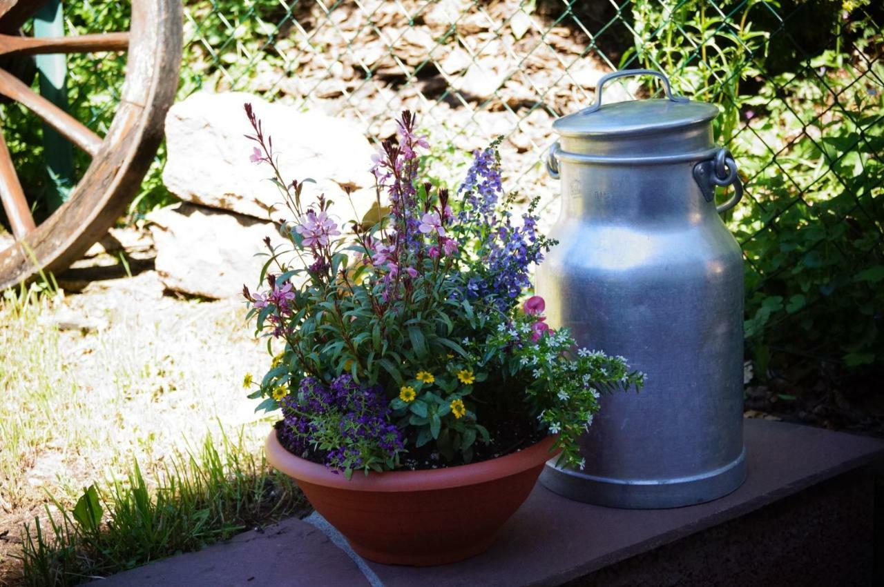 Black Forest Bed & Breakfast Freudenstadt