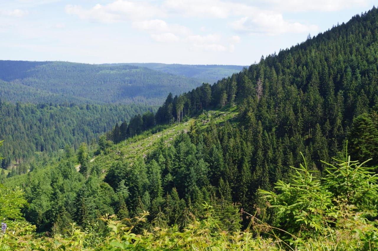 Black Forest Bed & Breakfast 2*